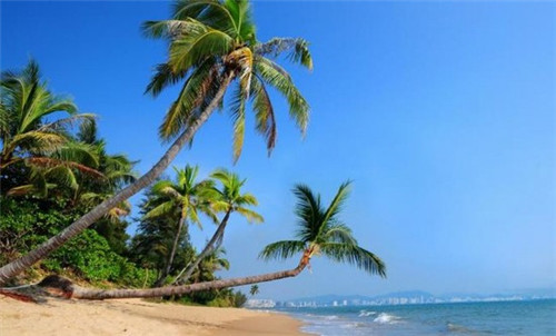 煎螯小龙虾煎饼