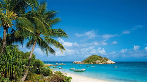 楠楠章鱼小丸子