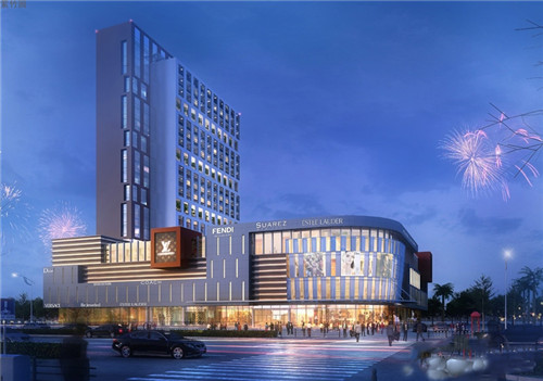 伊品招牌轩鸡米饭