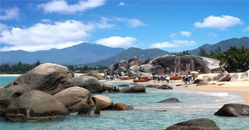 平舆桃花园奶茶店在哪里，平舆订奶电话