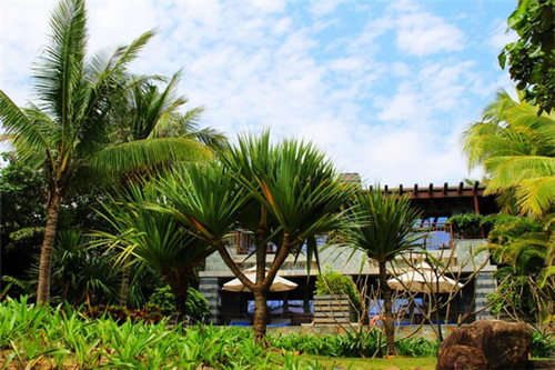 春水堂奶茶2025年还能在原阳县加盟吗