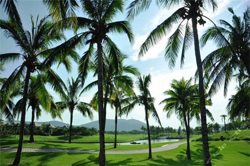 在轮台县加盟斐太浓烘焙坊店竞争大吗