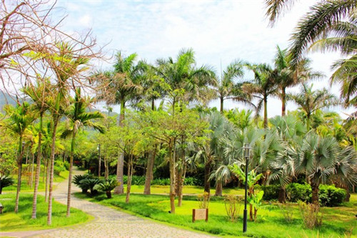 创业前景怎么样，加盟黑泷堂奶茶大概投资多少钱