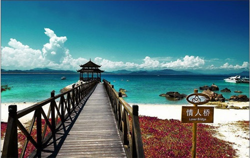 云南青椒炒猪肉做法（云南青椒炒猪肉做法视频）