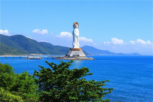 力存优太特医全营养配方食品（力存优太官网）