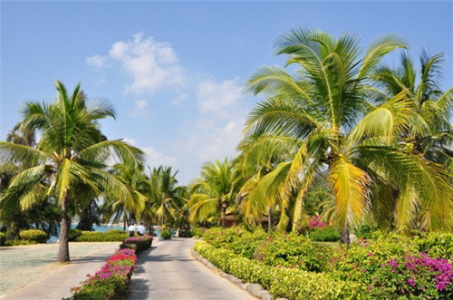 功夫是什么意思（下苦功夫是什么意思三年级上册）